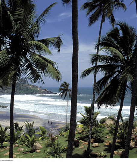 Керала- кокосовый рай