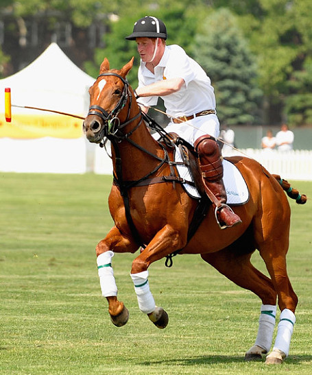 Принц Гарри обыграл американцев в поло