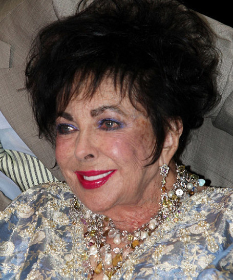 Элизабет Тейлор выйдет замуж в девятый раз?