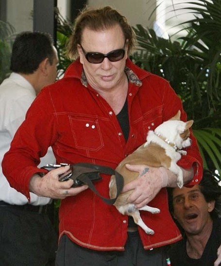 Большой Микки Рурк и маленькая собачка