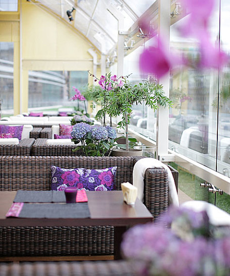 Звезды Eurovision на открытии веранды Zafferano