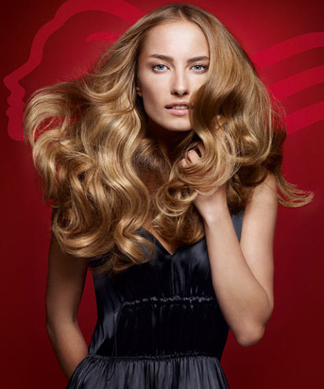 Wella против пересушенных волос