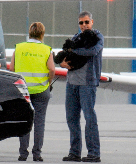 Ко мне, моя любимая