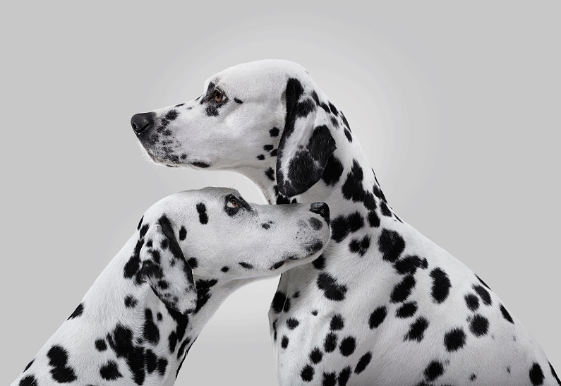 La Roche-Posay проводит День диагностики меланомы в России