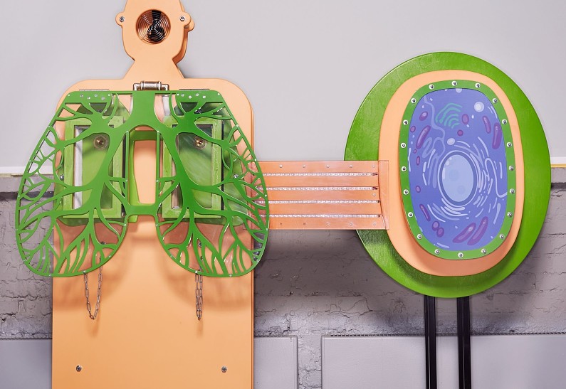 Новая экспозиция в Музее человека  «Биоэкспериментаниум»