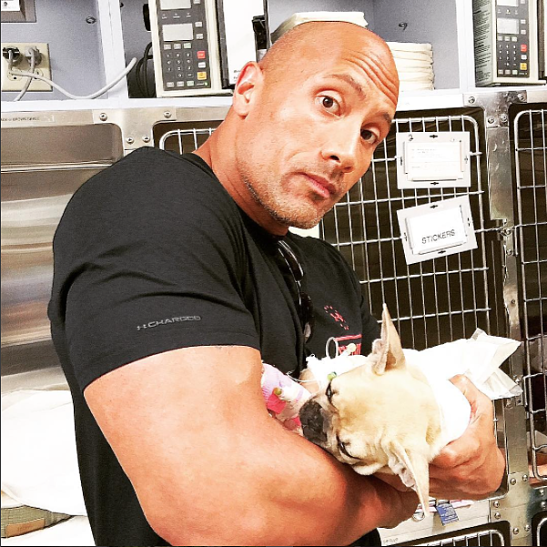 Дуэйну Джонсону пришлось усыпить любимого питомца