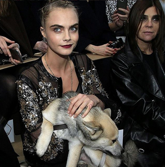Кара Делевинь пришла на показ Chanel с необычной спутницей