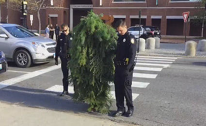 В Америке полицейские задержали мужчину в костюме дерева (ВИДЕО)