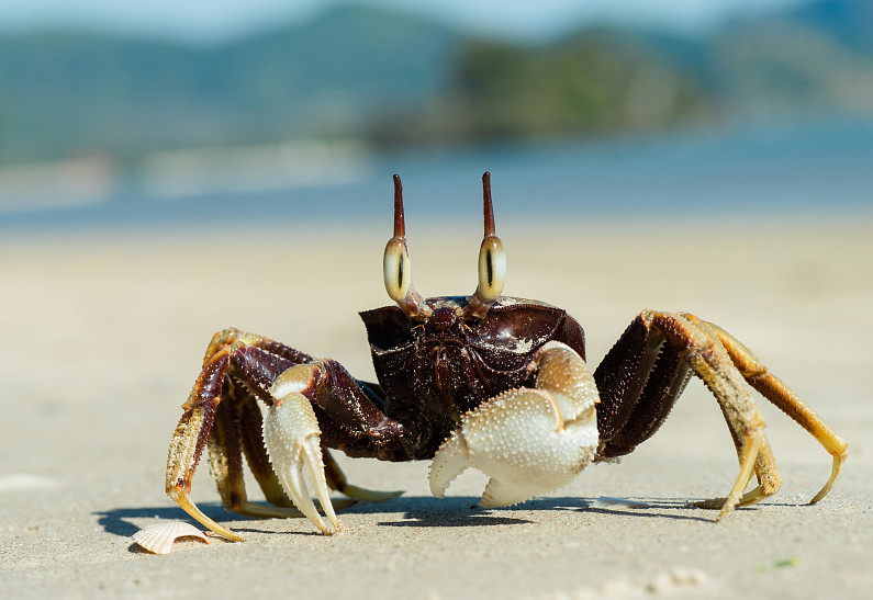 Лето в разгар зимы: топ-5 стран, куда можно сбежать от стужи