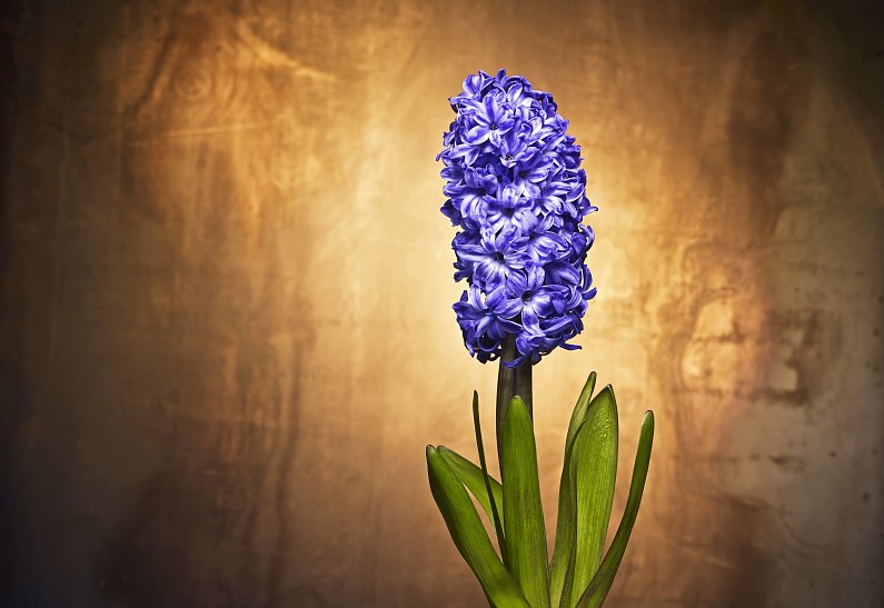 Весеннее обострение: 10 музыкальных клипов для настроения