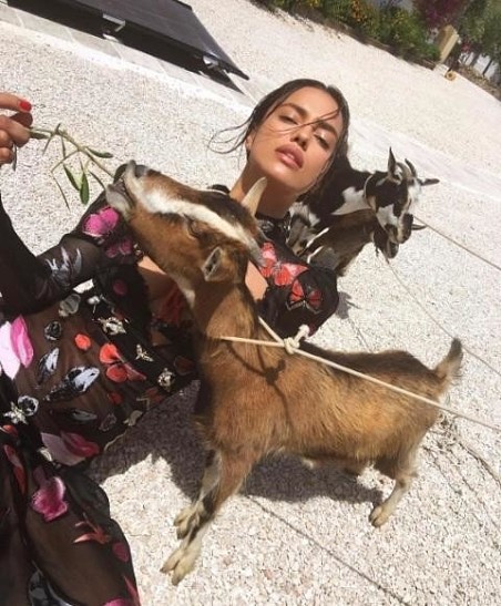 Ирина Шейк опубликовала фото с козами