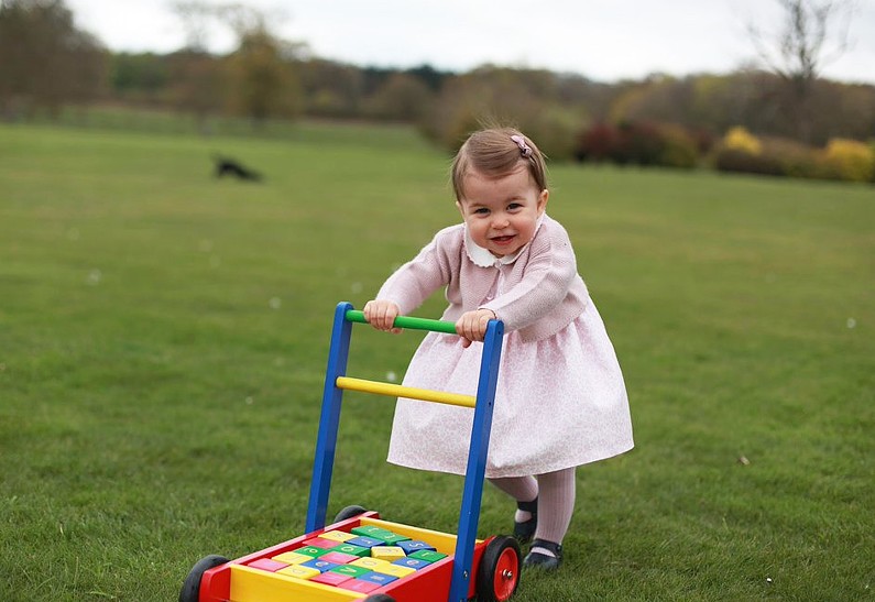 Принцесса Шарлотта за первый год своей жизни заработала 4,5 млн долларов