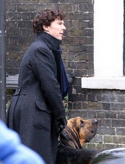 Бенедикт Камбербэтч с питомцем на съемках «Шерлока»