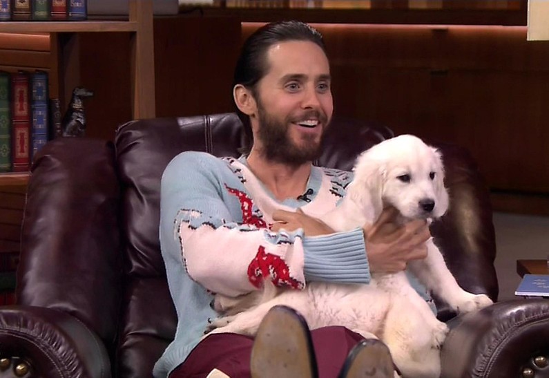 Джаред Лето выиграл щенков на шоу Джимми Фэллона (ВИДЕО)