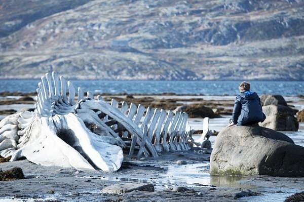 «Левиафан» вошел в список 100 лучших фильмов по версии BBC
