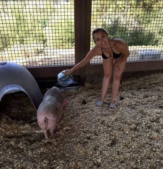 Майли Сайрус «подложила свинью» Лиаму Хемсворту