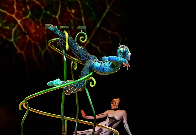 Cirque du Soleil покажет в России семейное «шоу насекомых»