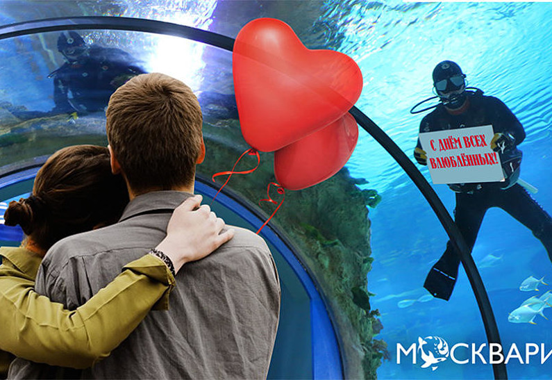 Подводные валентинки и романтические экскурсии в «Москвариуме» на ВДНХ