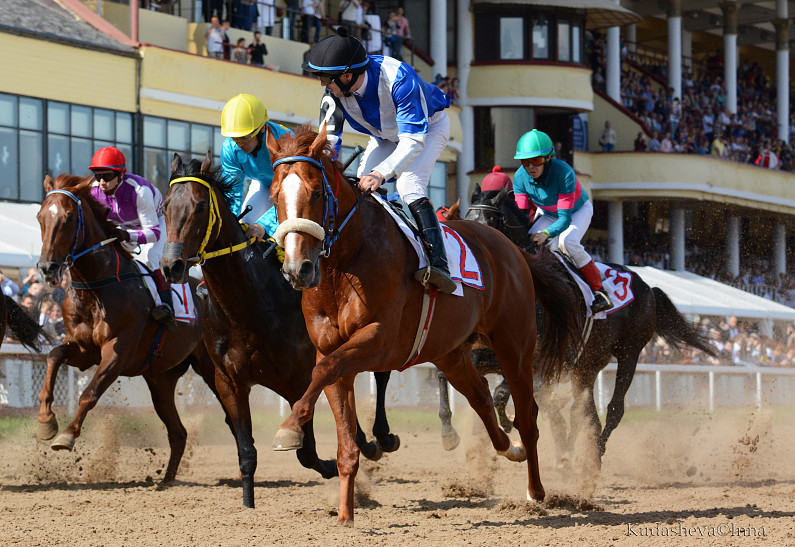 На Центральном Московском ипподроме открывается сезон скачек