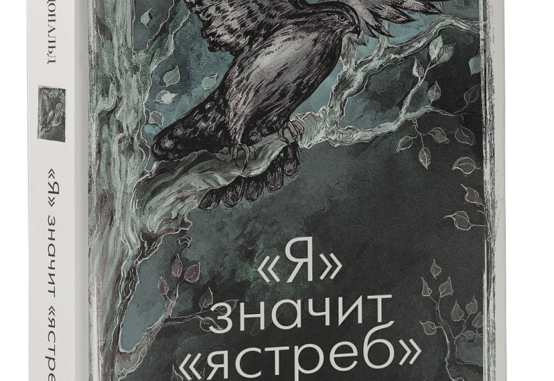 Новая книга: мировой бестселлер «Я значит ястреб»