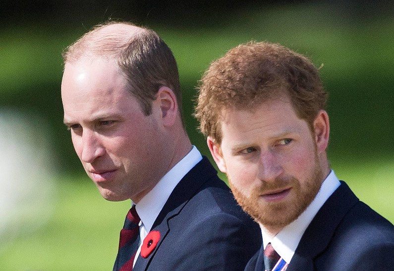 Принцы Уильям и Гарри расскажут о принцессе Диане в новом документальном фильме