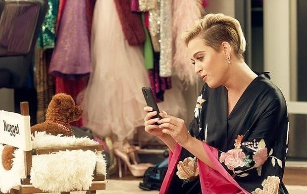 Питомец Кэти Перри стал звездой рекламной кампании