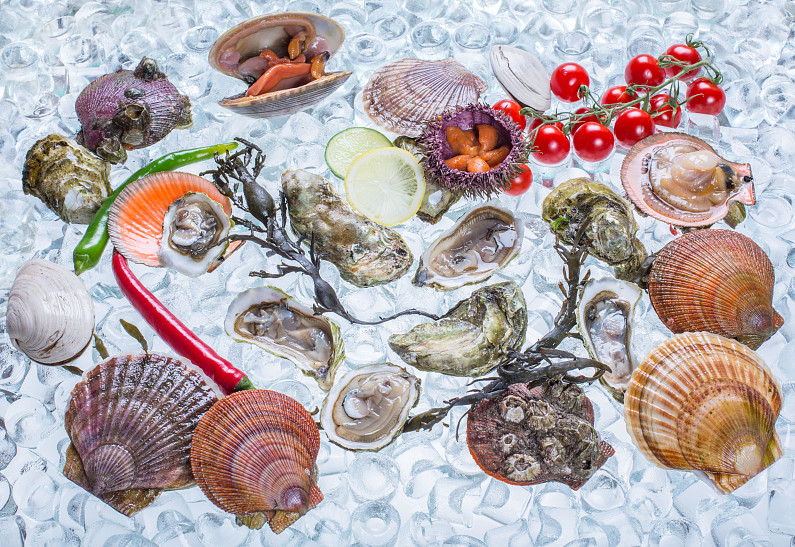 Улов «Пескаторе»