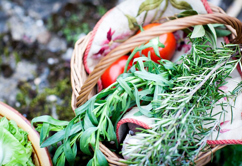 В Москве пройдет выставка-ярмарка продуктов из Краснодарского края