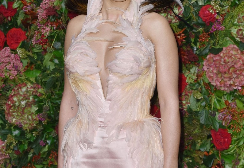 Рита Ора сразила наповал эффектным платьем с перьями