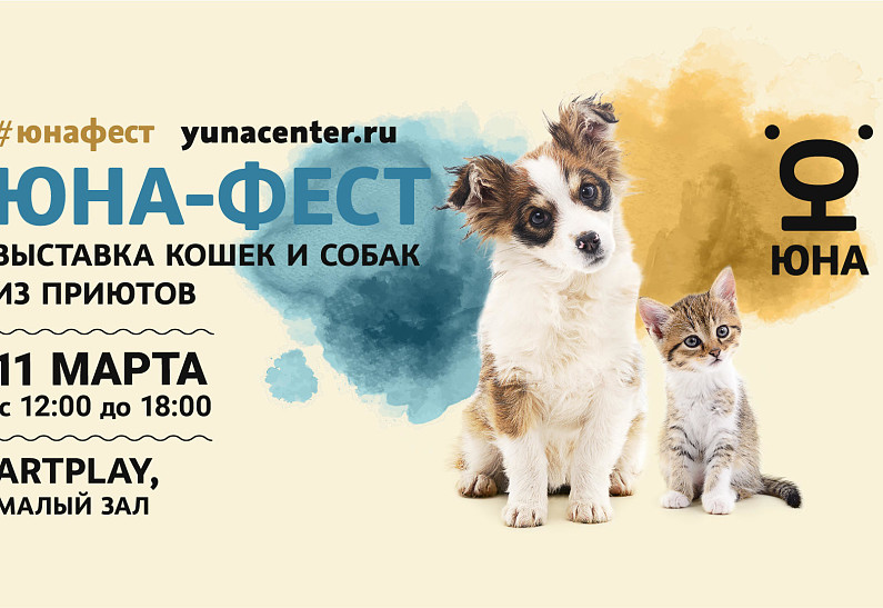 Друг в дом: 11 марта в Москве пройдет выставка-пристройство собак и кошек