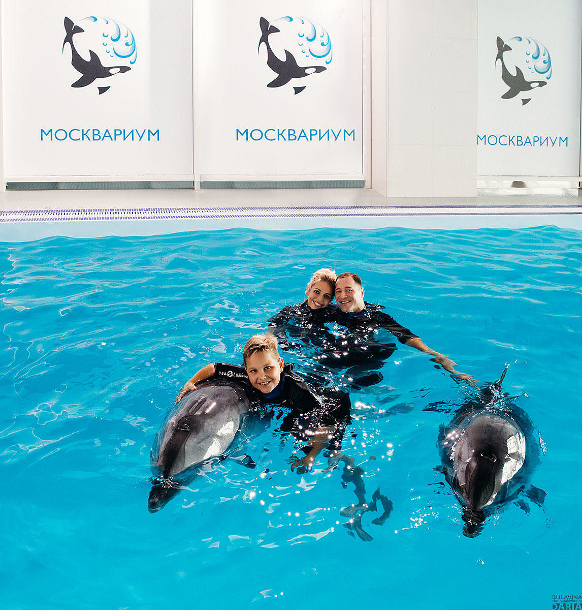 Москвариум поплавать. Москвариум центр плавания с дельфинами. Центр плавания с дельфинами в Москвариуме. Москвариум на ВДНХ дельфинотерапия. Дельфинарий в Москве поплавать с дельфинами.