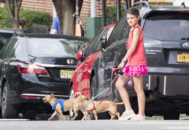 Дочь Тома Круза выгуливает собак без охраны: фото