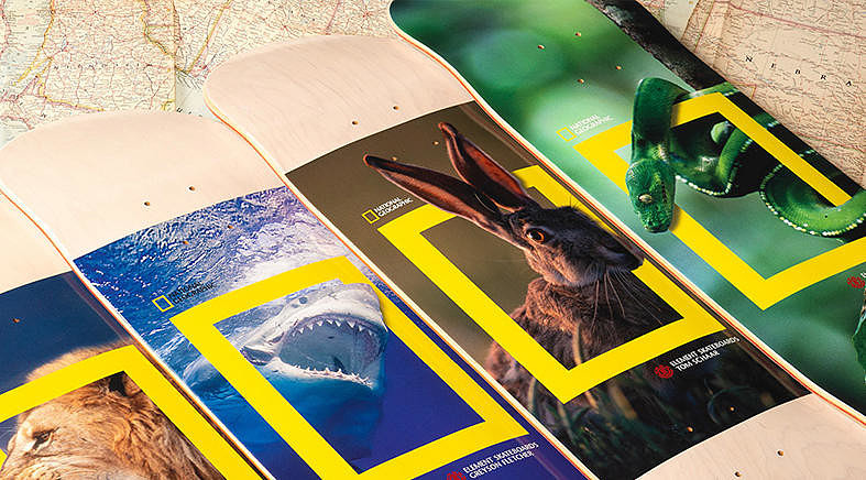 Бренд Element и National Geographic выпустили коллекцию одежды, посвященную дикой природе