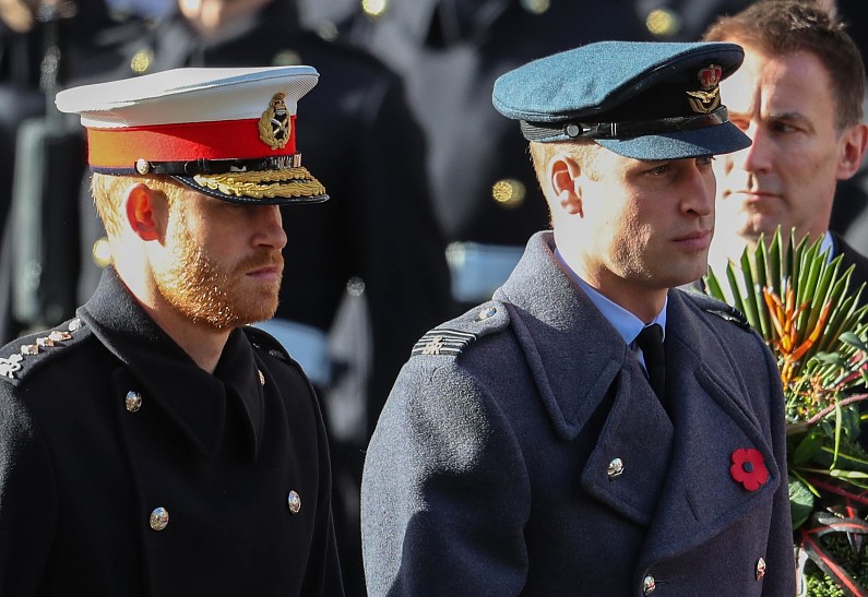 Стала известна новая причина вражды принцев Уильяма и Гарри. И Меган Маркл ту ни при чём!