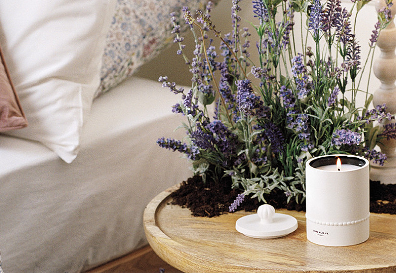 У каких марок искать самые интересные новинки и акции?