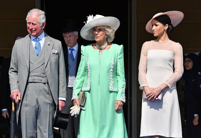 Фанаты Меган Маркл атаковали принца Чарльза и обвинили его в лицемерии