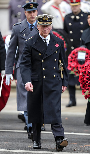 Принц Чарльз и принц Уильям