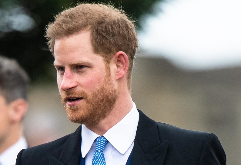 Принц Гарри подвергся критике за непрошеный совет. Что он сказал?