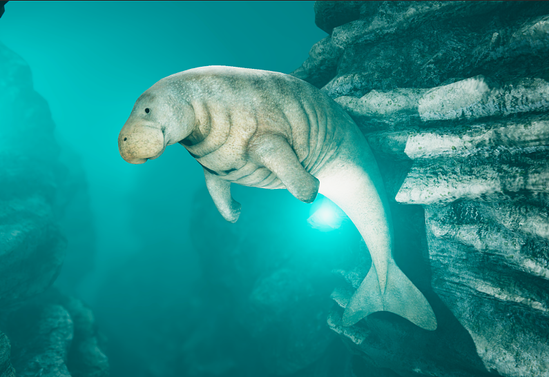 «Океан юрского периода»:  новая выставка о морских гигантах  в «Москвариуме» на ВДНХ