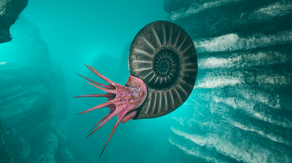 Парапузосия