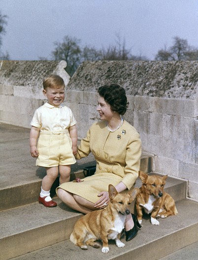 Королева Елизавета с сыном Эндрю и корги, 1962