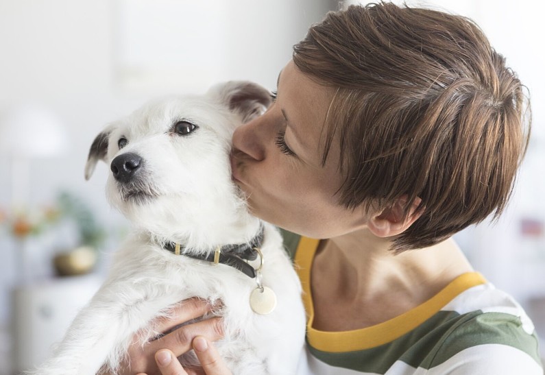 Российская кинологическая федерация и MarsPetcare запускают информационно-образовательный портал для владельцев собак