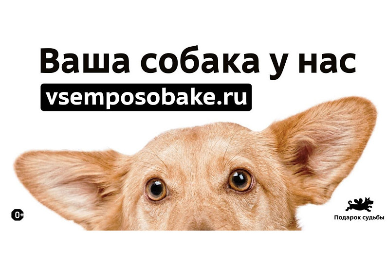 Фонд «Подарок судьбы» выпустил провокационную социальную рекламу