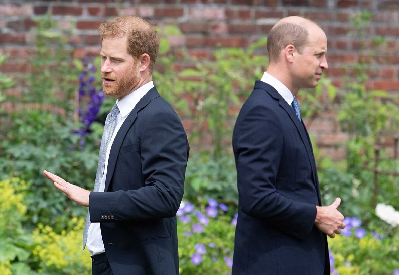 Неловкость и напряжение: эксперт по языку тела прокомментировал встречу принцев Уильяма и Гарри в Лондоне