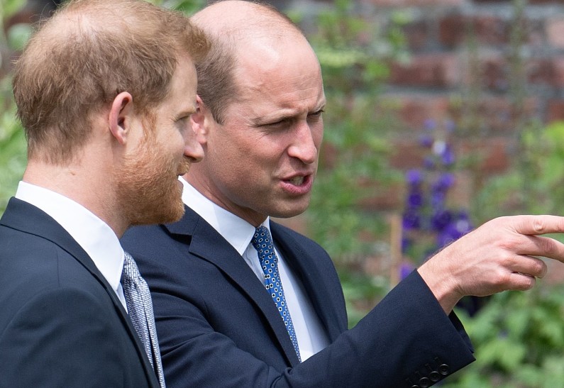 Принц Уильям и принц Гарри встретились на открытии статуи принцессы Дианы. Подробности воссоединения!