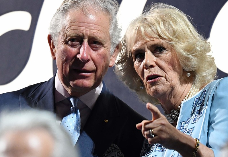 Супруга принца Чарльза вступает на тропу войны с принцем Гарри и Меган Маркл. Подробности!