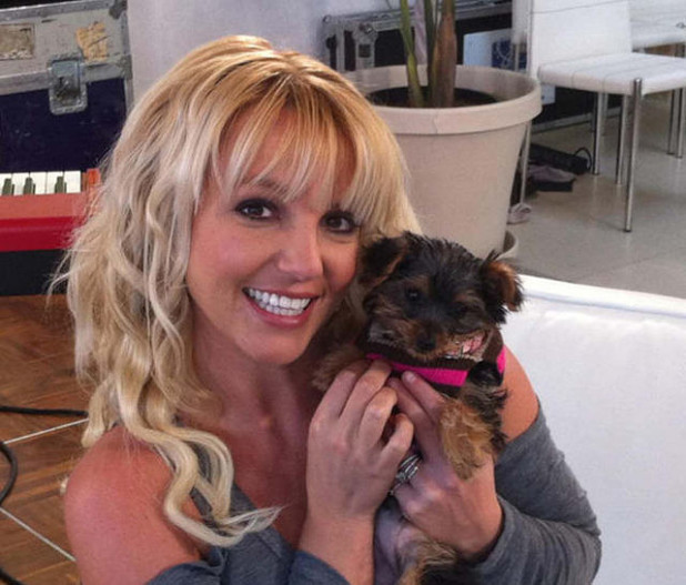 Бритни Спирс