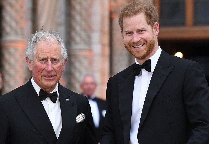 Принц Чарльз лишит королевских полномочий сразу нескольких важных членов семьи. И всё из-за принца Гарри!
