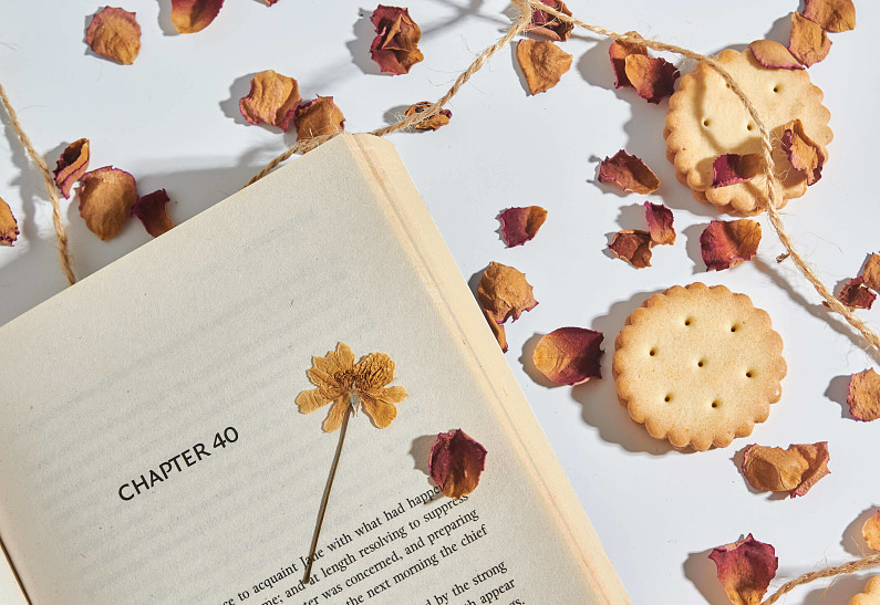 На книжных полках этой осенью: 4 интригующих зарубежных романа