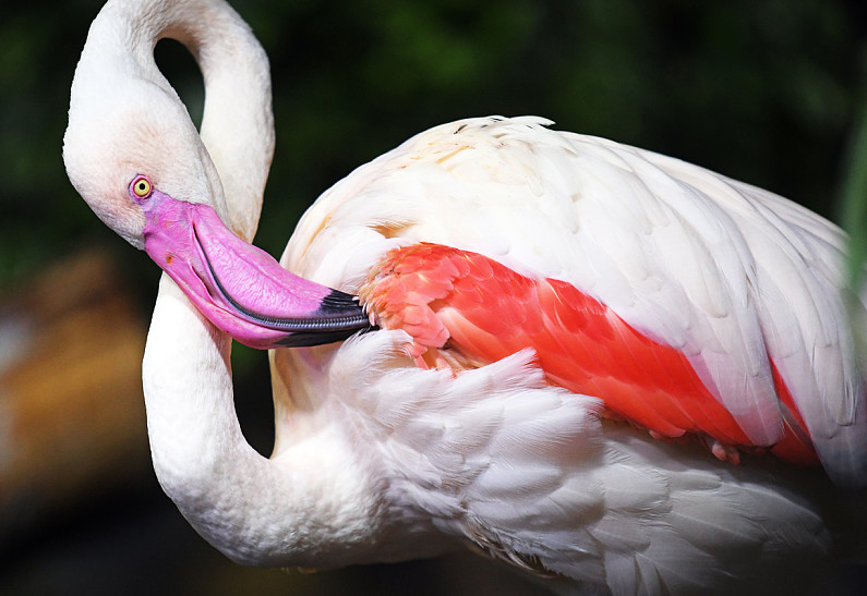 4 и 5 сентября большой праздник в Крокус Сити Океанариуме к началу учебного года